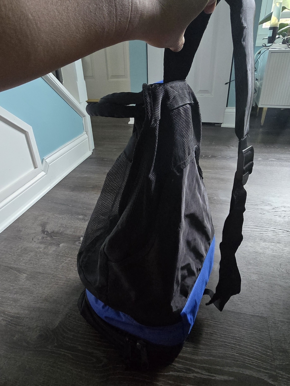 Picnic Sling Bag